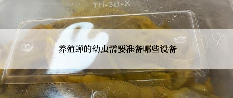  养殖蝉的幼虫需要准备哪些设备