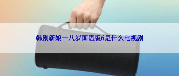 韩剧新娘十八岁国语版6是什么电视剧