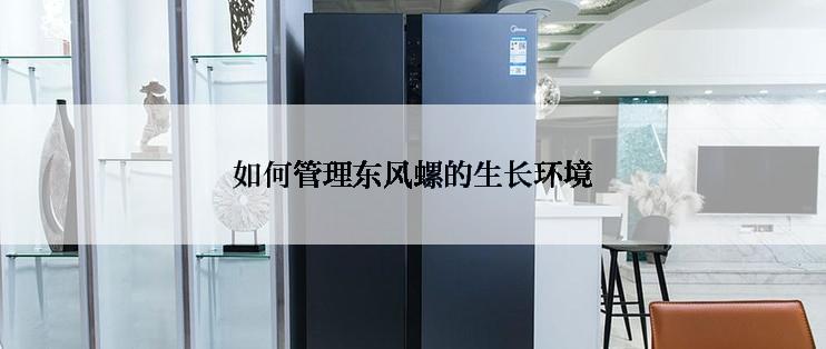 如何管理东风螺的生长环境