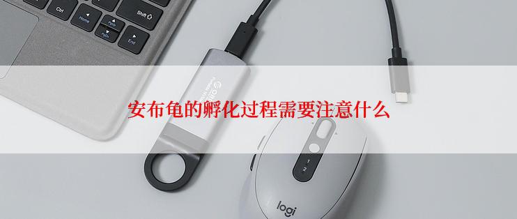 安布龟的孵化过程需要注意什么