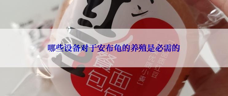 哪些设备对于安布龟的养殖是必需的