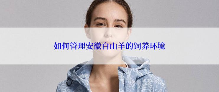 如何管理安徽白山羊的饲养环境