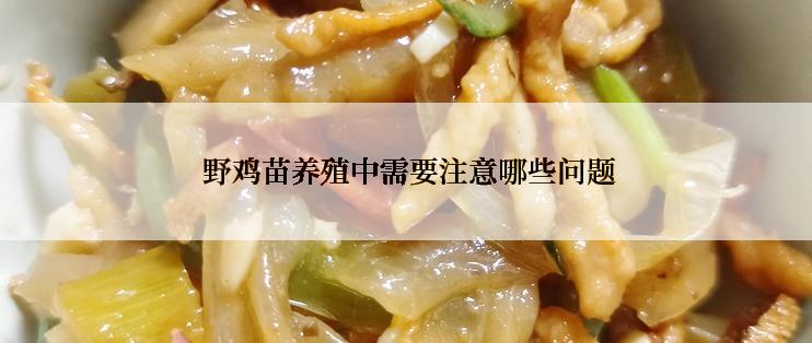  野鸡苗养殖中需要注意哪些问题