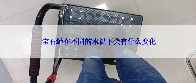  宝石鲈在不同的水温下会有什么变化