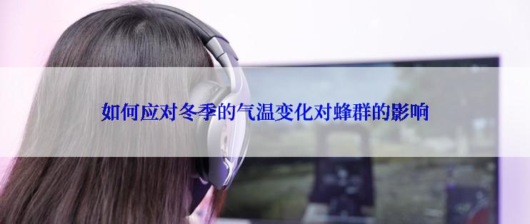 如何应对冬季的气温变化对蜂群的影响