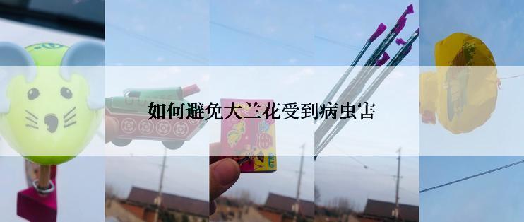 如何避免大兰花受到病虫害