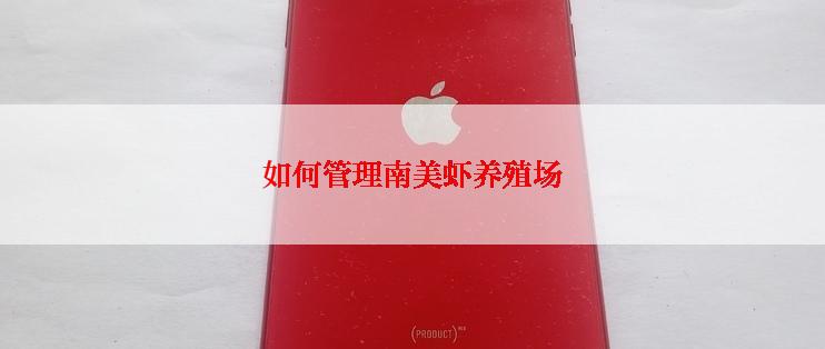 如何管理南美虾养殖场