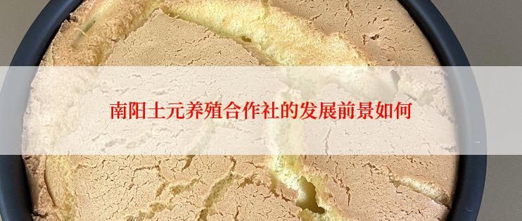 南阳土元养殖合作社的发展前景如何
