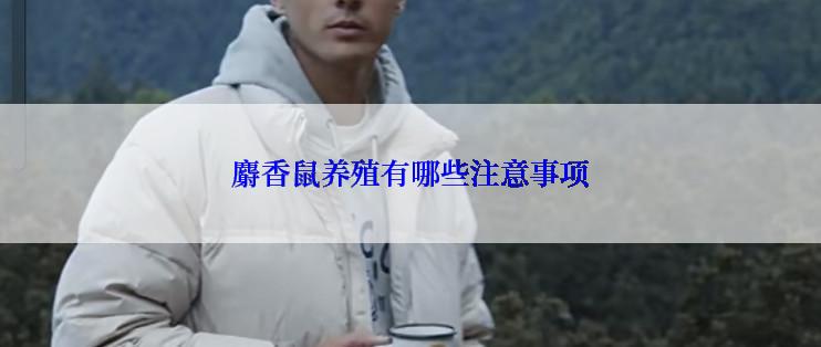麝香鼠养殖有哪些注意事项