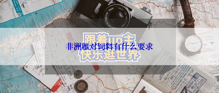 非洲雁对饲料有什么要求