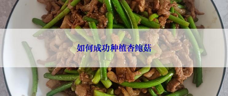 如何成功种植杏鲍菇