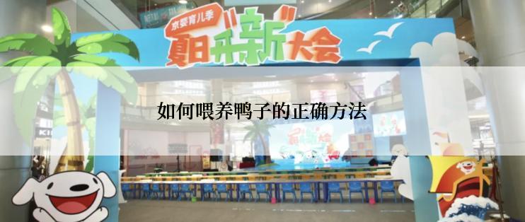 如何喂养鸭子的正确方法