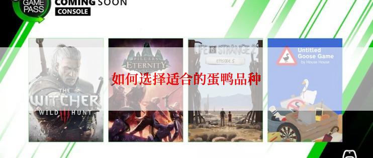如何选择适合的蛋鸭品种