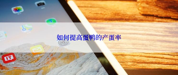 如何提高蛋鸭的产蛋率