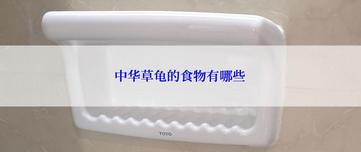 中华草龟的食物有哪些