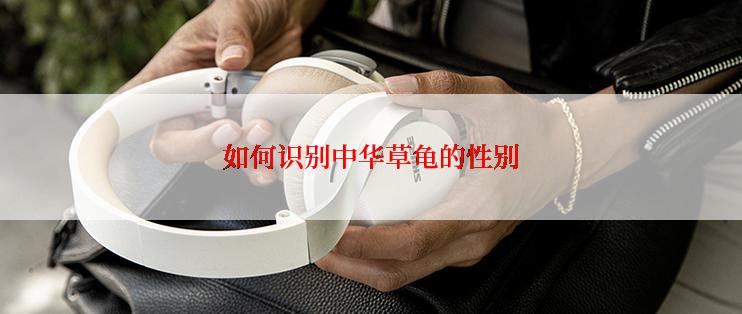 如何识别中华草龟的性别