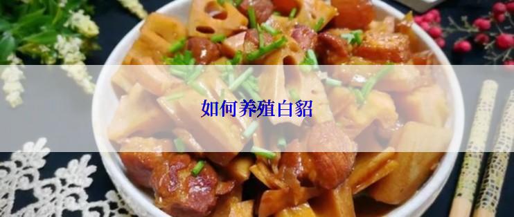 如何养殖白貂