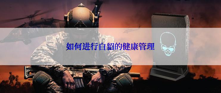如何进行白貂的健康管理