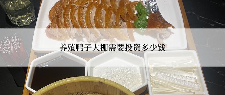 养殖鸭子大棚需要投资多少钱