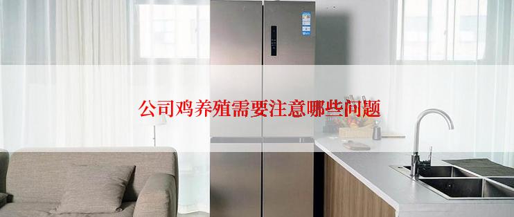  公司鸡养殖需要注意哪些问题
