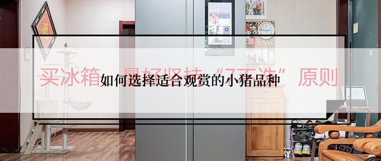 如何选择适合观赏的小猪品种