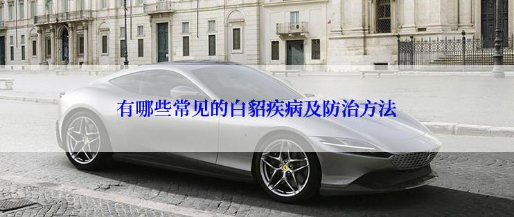 有哪些常见的白貂疾病及防治方法