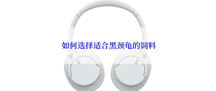  如何选择适合黑颈龟的饲料