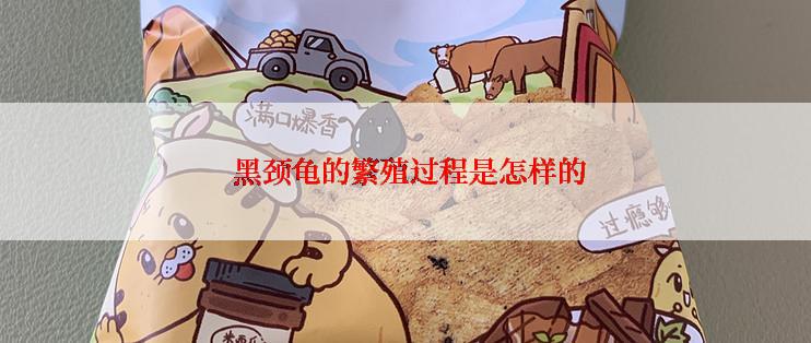  黑颈龟的繁殖过程是怎样的