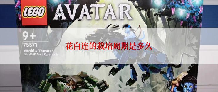 花白连的栽培周期是多久