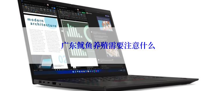广东鱿鱼养殖需要注意什么
