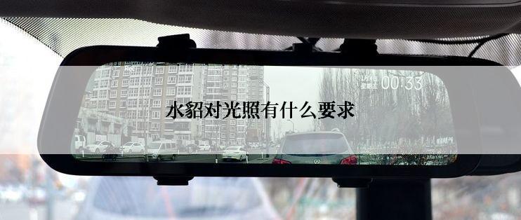 水貂对光照有什么要求