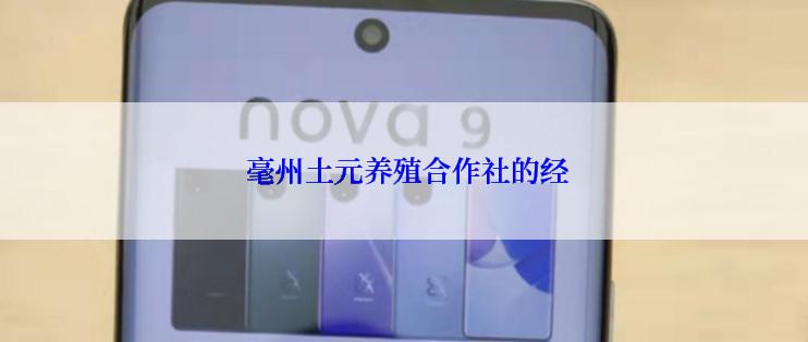  毫州土元养殖合作社的经