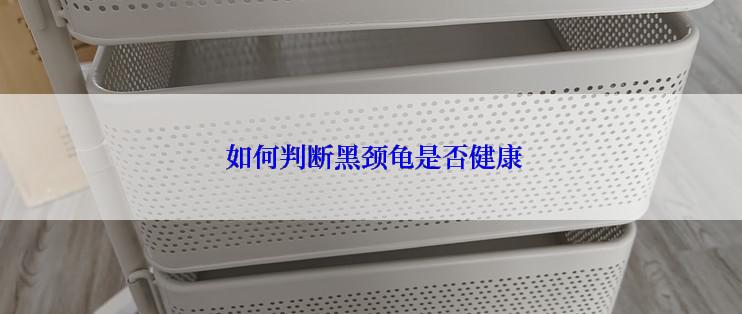  如何判断黑颈龟是否健康