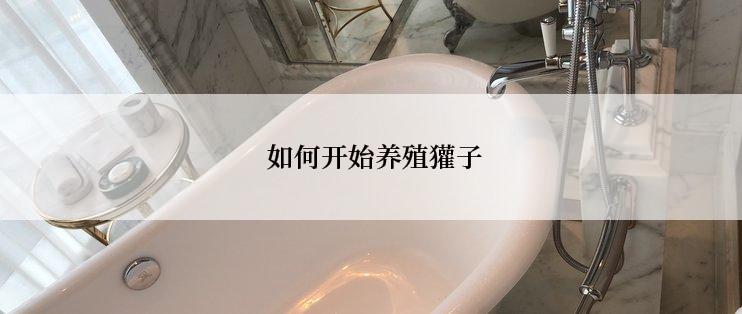  如何开始养殖獾子