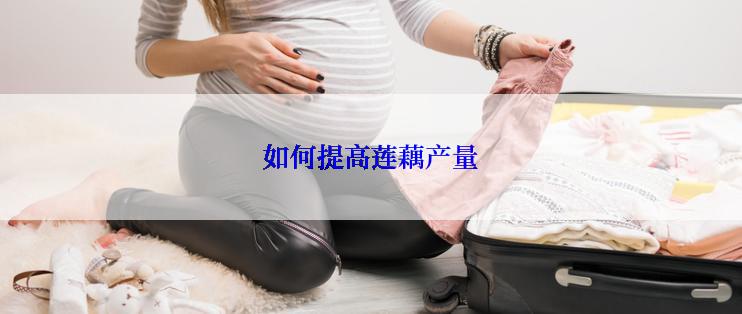 如何提高莲藕产量