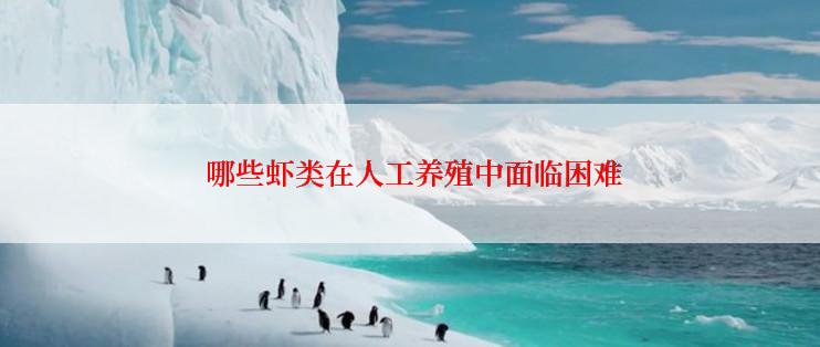  哪些虾类在人工养殖中面临困难