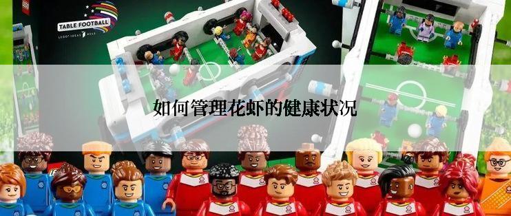 如何管理花虾的健康状况