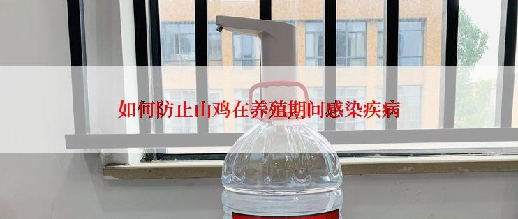 如何防止山鸡在养殖期间感染疾病