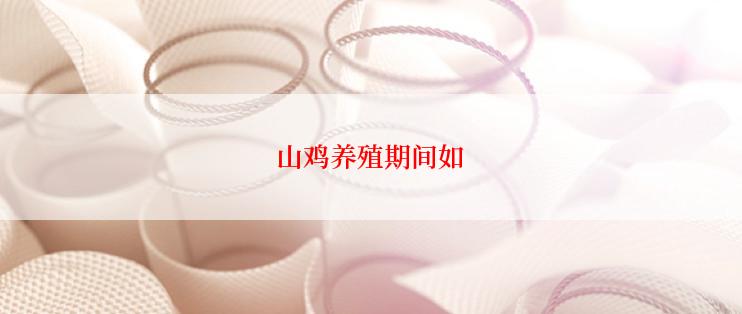 山鸡养殖期间如