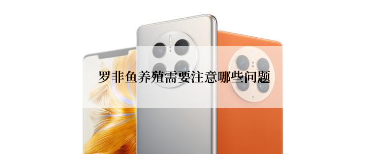  罗非鱼养殖需要注意哪些问题