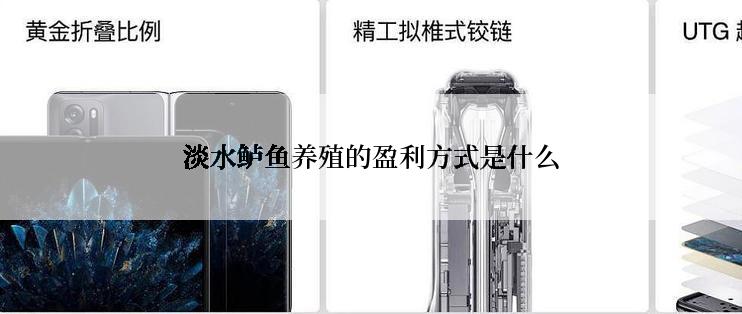 淡水鲈鱼养殖的盈利方式是什么