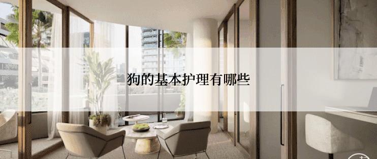狗的基本护理有哪些