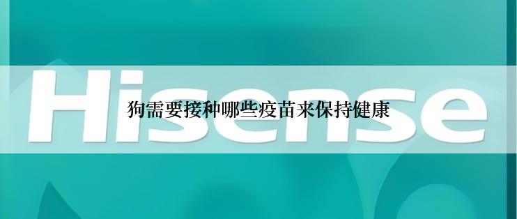 狗需要接种哪些疫苗来保持健康