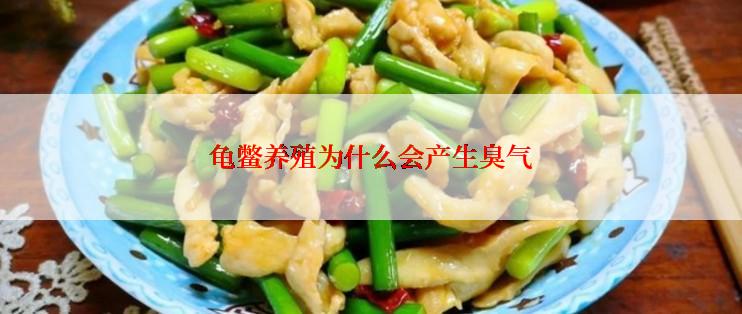 龟鳖养殖为什么会产生臭气