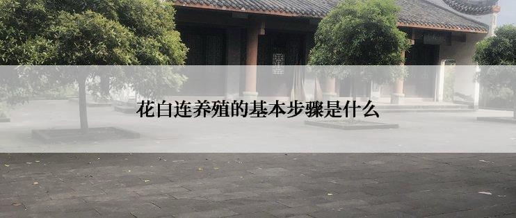 花白连养殖的基本步骤是什么