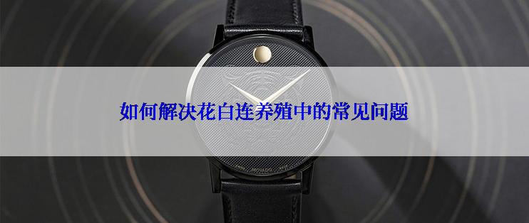 如何解决花白连养殖中的常见问题