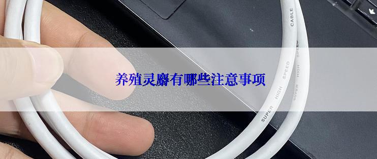  养殖灵麝有哪些注意事项