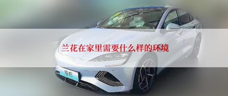  兰花在家里需要什么样的环境
