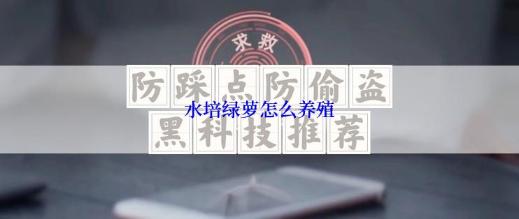 水培绿萝怎么养殖