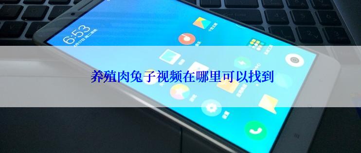  养殖肉兔子视频在哪里可以找到
